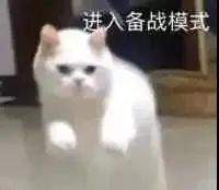 DƬ